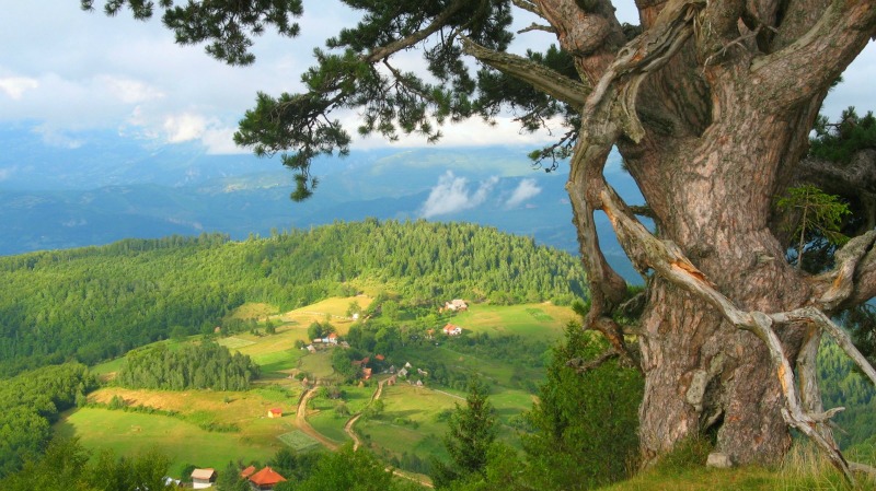 Kamena_Gora_Bor-prepravljen1