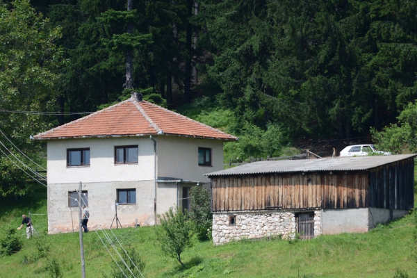 fata-kadric