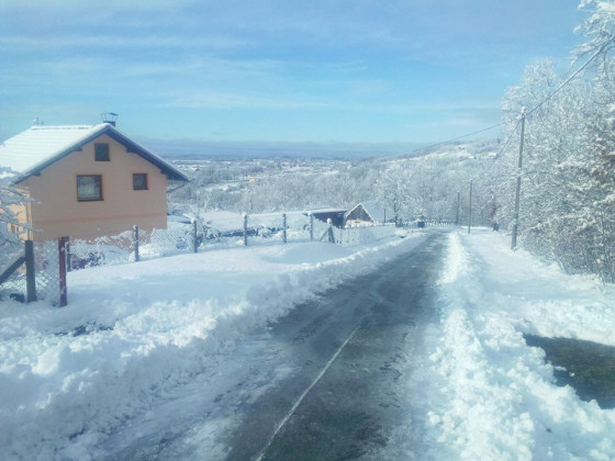 manjaca ociscen snijeg4