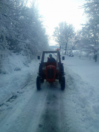 manjaca ociscen snijeg5