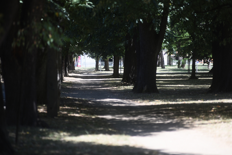 park mladen stojanovic