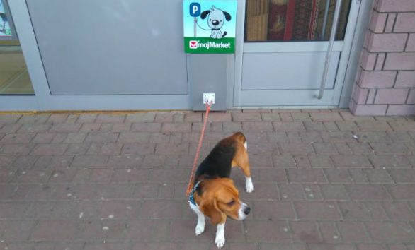 parking za pse