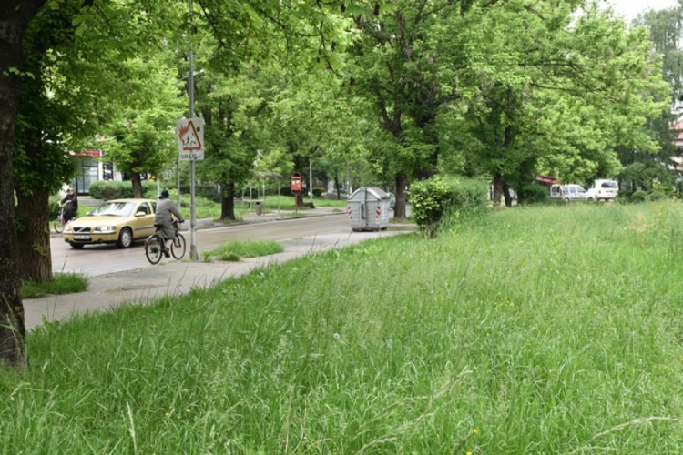kosenje trave