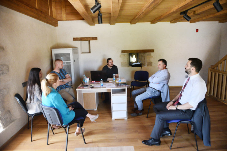 radojicic razvoj kulture