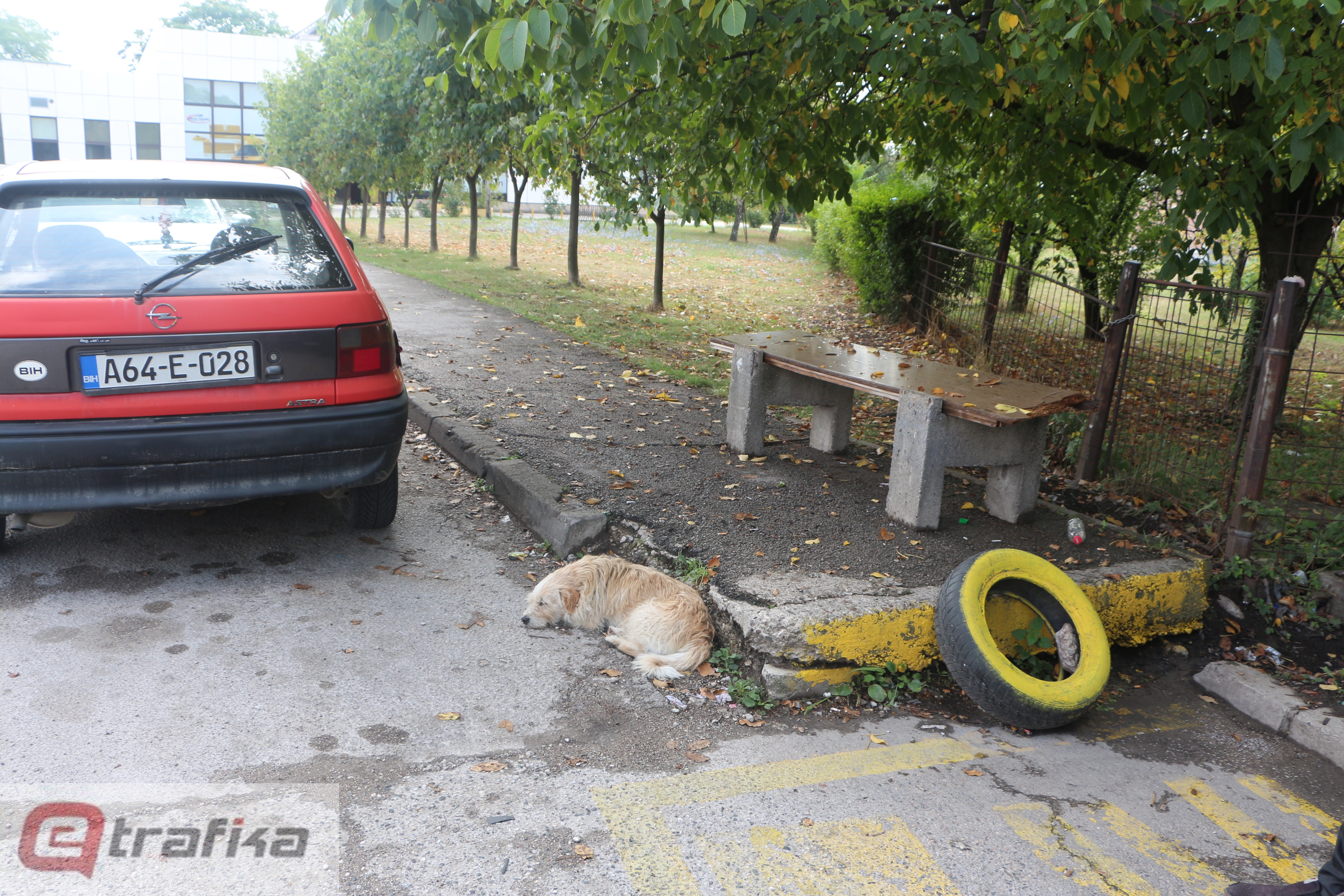 pas autobuska stanica