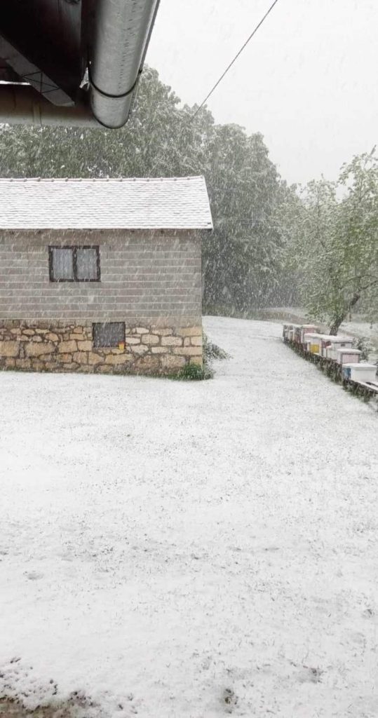 STIGAO I U SRPSKU: Snijeg u Kozarskoj Dubici, Kostajnici i Novom Gradu