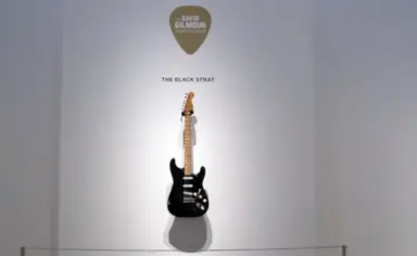 Gitara Pink Flojda