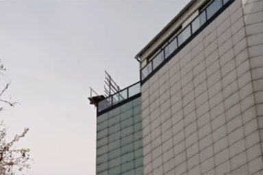Pala skela sa tržnog centra u Novom Sadu