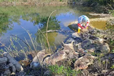 Ekološka bomba na obali Drine