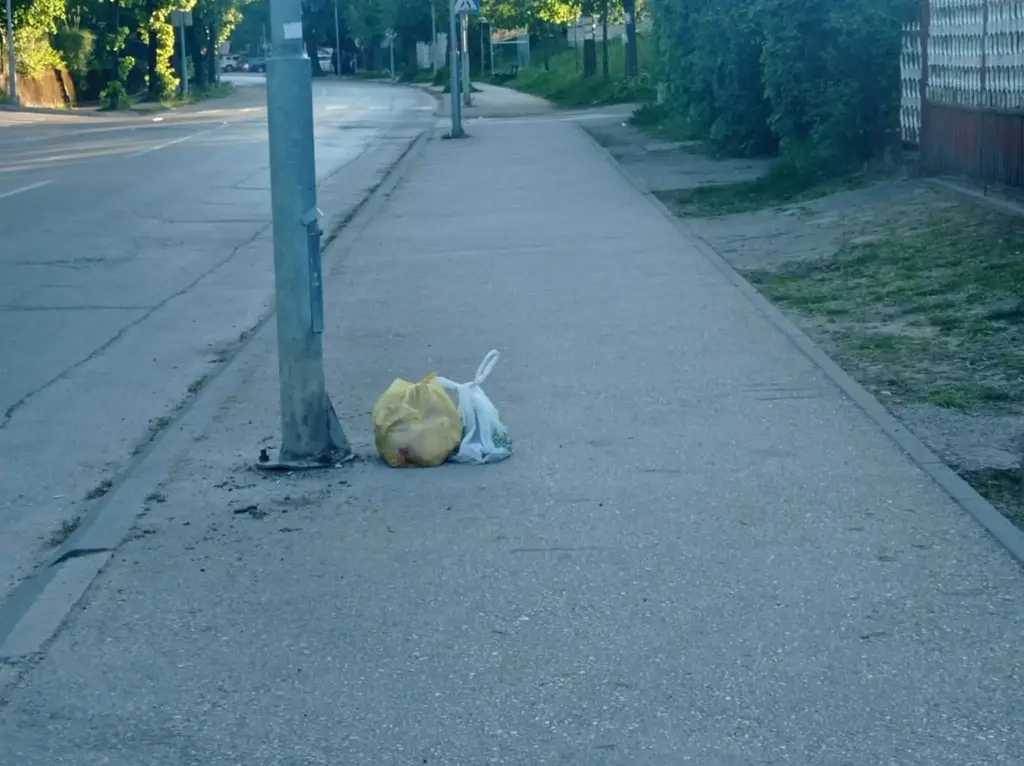 Banjaluka zatrpana smećem