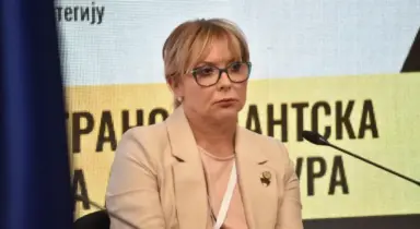 Trišić-Babić