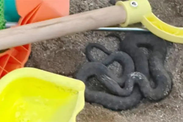 Zmija među dječjim igračkama