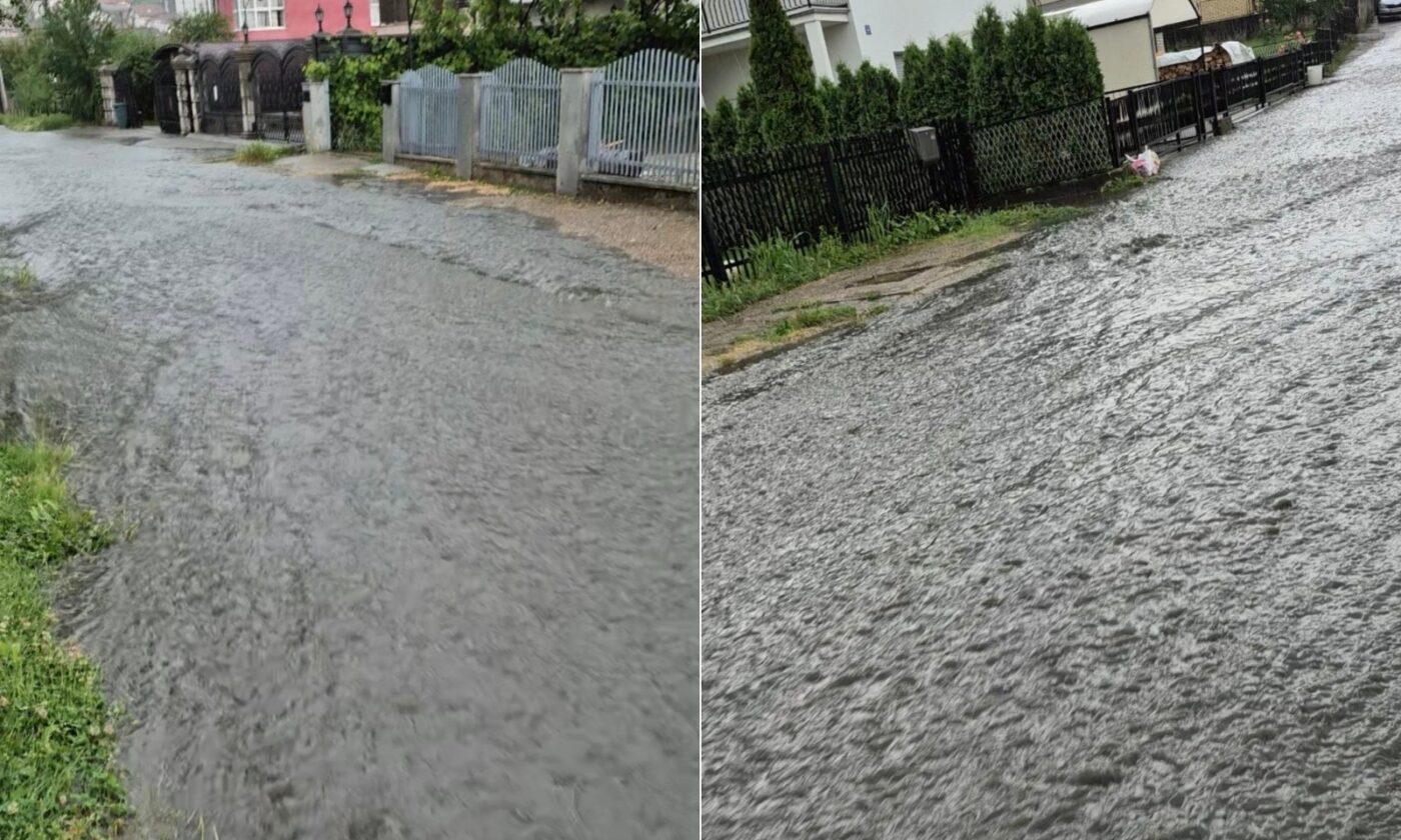 Lauš